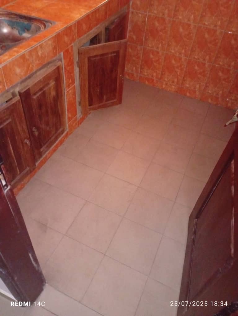 L'ÉTOILE ROUGE APPARTEMENT À USAGE PROFESSIONNEL 3 chambres sanitaires salon 02  douches avec 02 balcons e